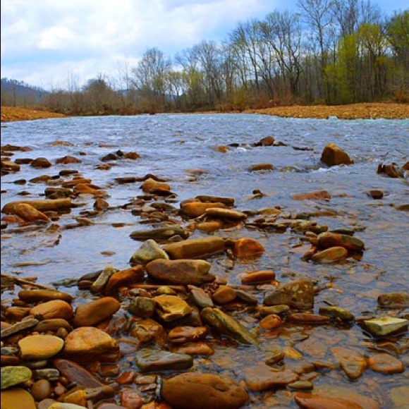 Meet your Posher, Gena - Picture 1 of 1